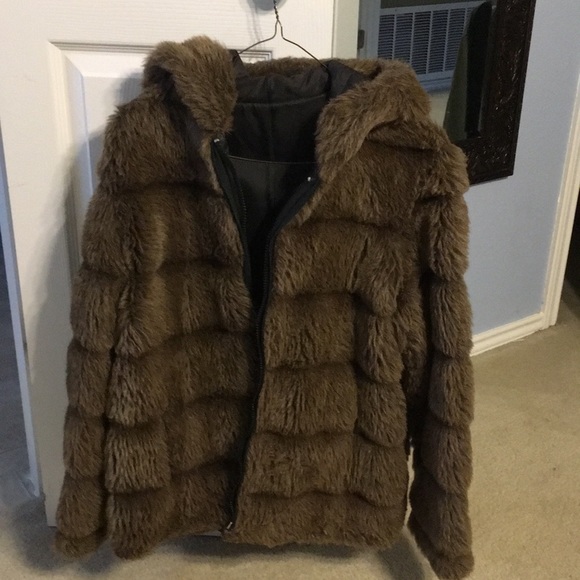 Jacket - Picture 5 of 7